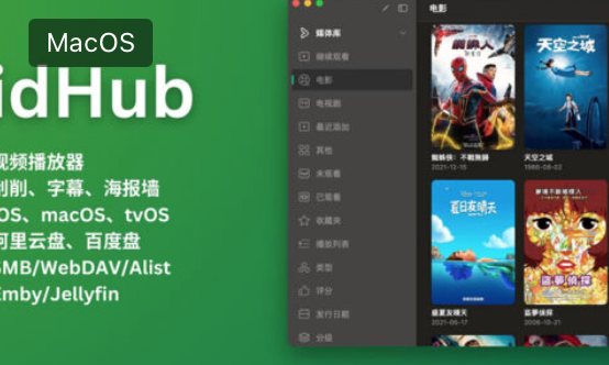 比 Infuse 更适合的全能播放神器 VidHub / 支持 iOS & macOS & tvOS