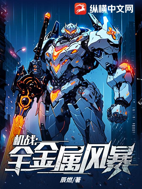 机战：全金属风暴 - 辰燃