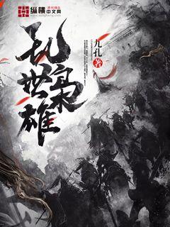 乱世枭雄 - 九孔