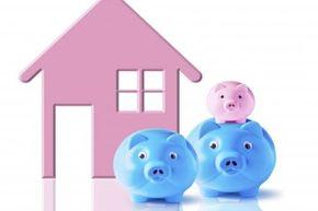  这些小猪仔：普通的抚养免税额