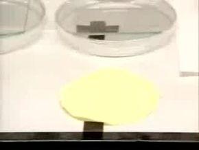  防水纳米涂层：保护智能手机的新技术