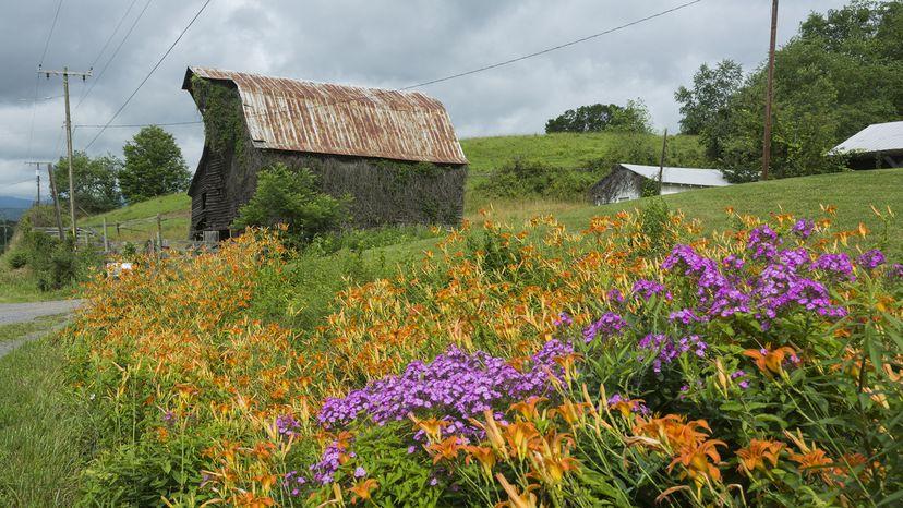  美国最贫困的10个州：基于2012-2022年数据的分析