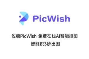 佐糖PicWish 免费在线AI智能抠图 智能识3秒出图