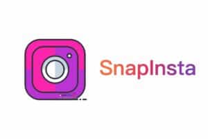 Instagram下载器 SnapInsta，支持IG全类型视频照片下载