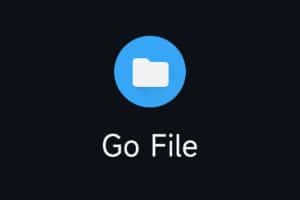 Go File：基于 Go 的文件分享工具 开箱即用