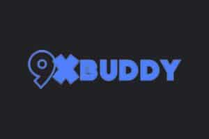 在线视频下载助手：9xbuddy