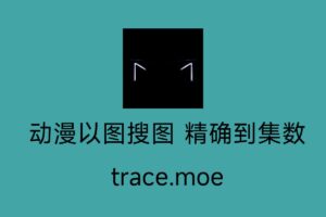 动漫以图搜图 精确到集数-trace.moe