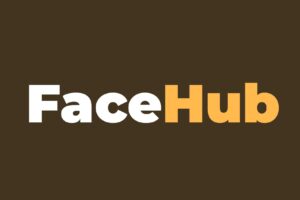 在线智能图片视频换脸工具-FaceHub