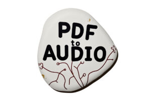 PDF to Audio Converter：AI将PDF 转换为音频播客、讲座、摘要等