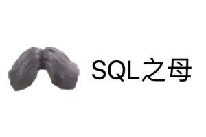 SQL 之母-免费的闯关式 SQL 自学教程网站