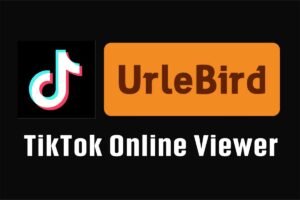 TikTok镜像网站 轻松在线刷TikTok视频-Urlebird