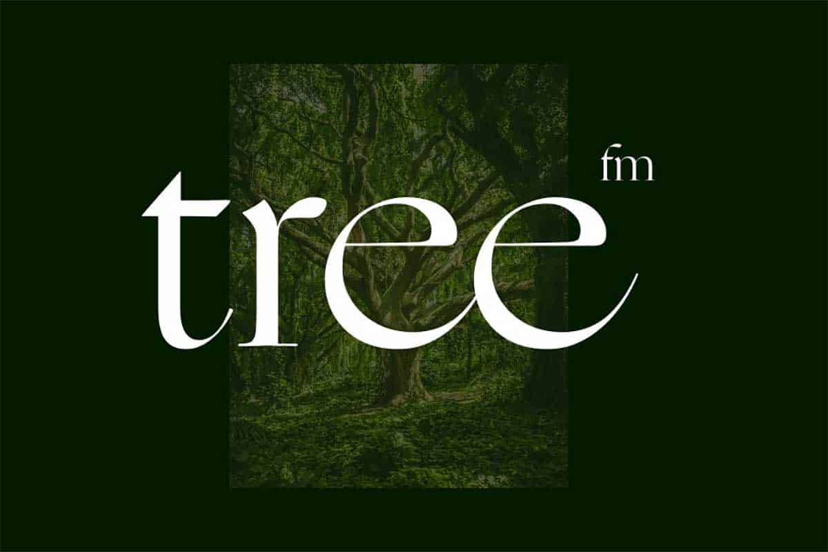 TreeFM-收听来自世界各地的森林声音 适合冥想放松白噪音