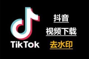 在线TikTok 抖音无水印解析下载工具 – ouo工具