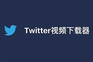 在线Twitter视频下载器-Twitter Downloader