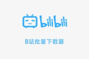 B站批量下载器(bilibili视频下载软件) V1.3