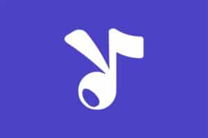 YouTube Music第三方客户端 支持后台播放-ViMusic