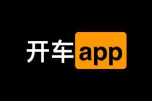 一些大人开车破解版app