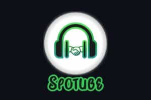 免费开源跨平台Spotify第三方客户端-Spotube