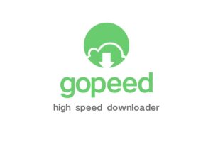 Gopeed-全平台开源高速下载器 支持（HTTP、BitTorrent、Magnet）协议