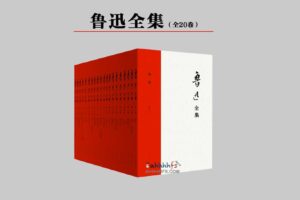 鲁迅全集 全20卷 无删改