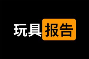 大人版：网友总结的一份玩具体验报告