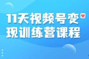 好望角-11天视频号变现训练营课程