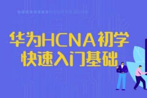 华为HCNA初学快速入门基础