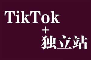 Tiktok+独立站0基础入门到精通 跨境电商独立站新手必学课