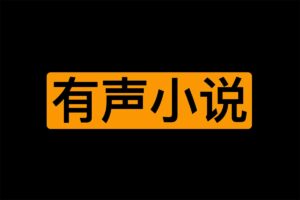 一些19类型的有声小说