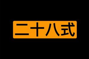 二十八堂课 某技巧真人演示视频教程