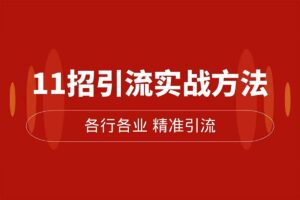 精准引流术：11招引流实战方法，让你私域流量加到爆（11节课完整)