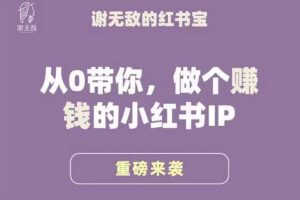 谢无敌 小红书运营大宝典 从0带你做个赚钱的小红书IP