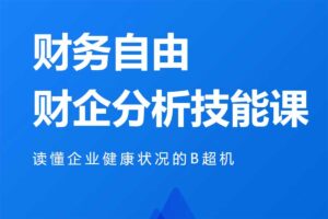 财务报表分析技能课 微淼